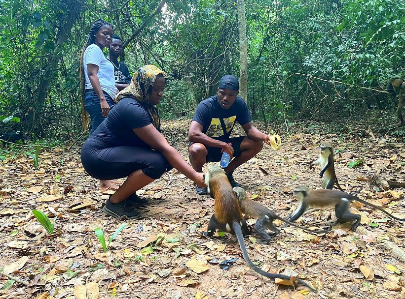 Tafi Atome Monkey Sanctuary, Volta Region, Ghana